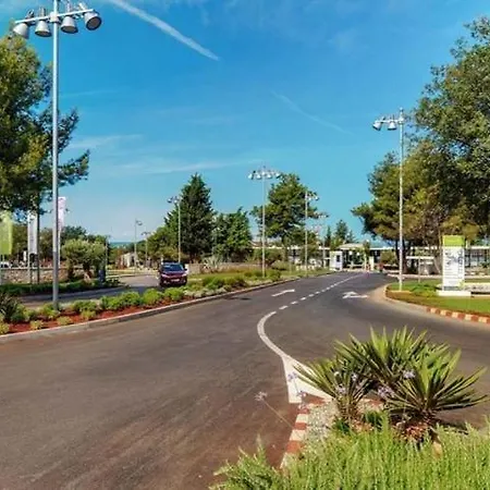 Adriamar Mobile Homes In Park Campsite