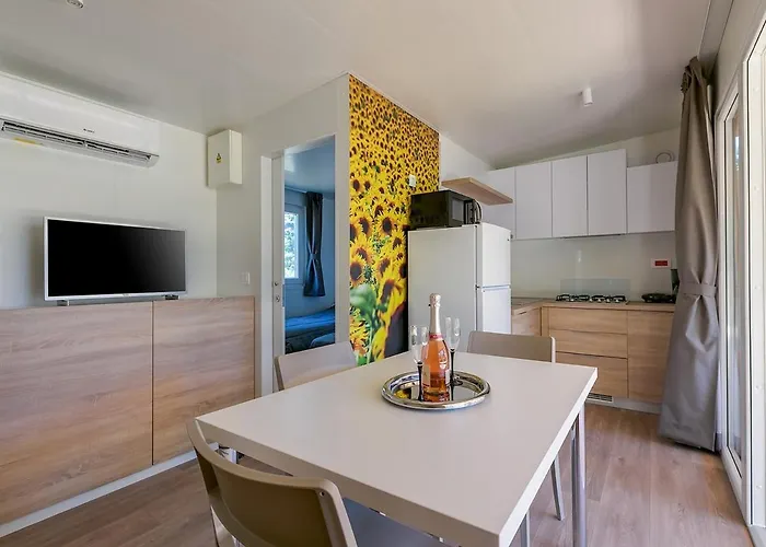 Adriamar Mobile Homes In Park Campsite *